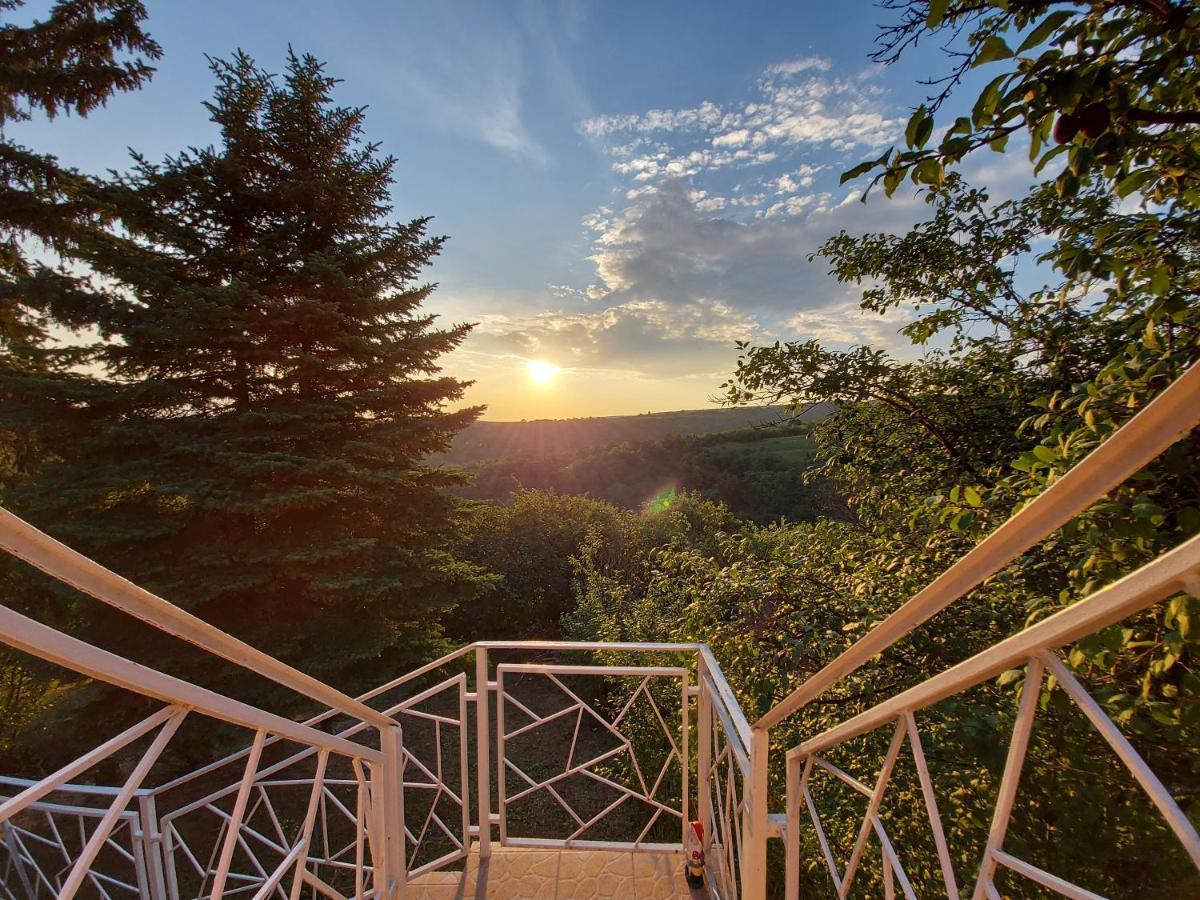 Lux Star-Vila Za Odmor Villa Besenovacki Prnjavor Dış mekan fotoğraf