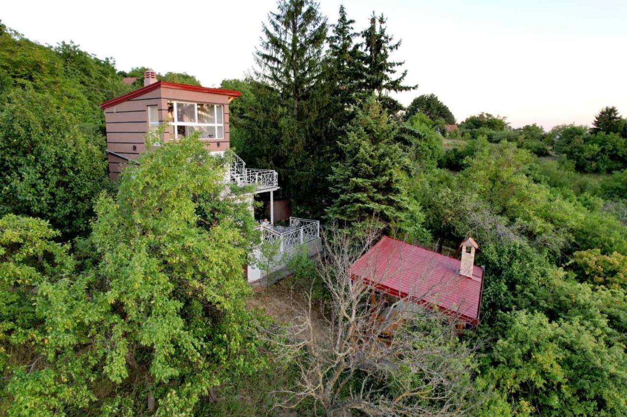 Lux Star-Vila Za Odmor Villa Besenovacki Prnjavor Dış mekan fotoğraf