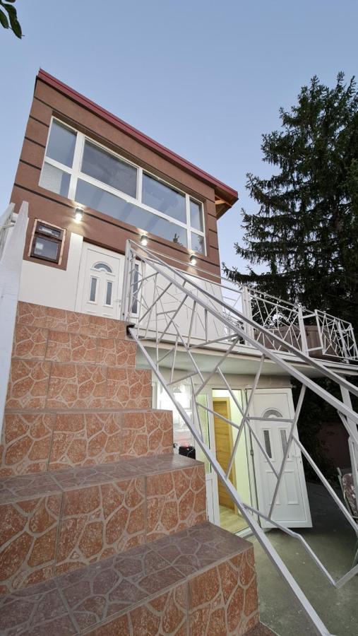 Lux Star-Vila Za Odmor Villa Besenovacki Prnjavor Dış mekan fotoğraf